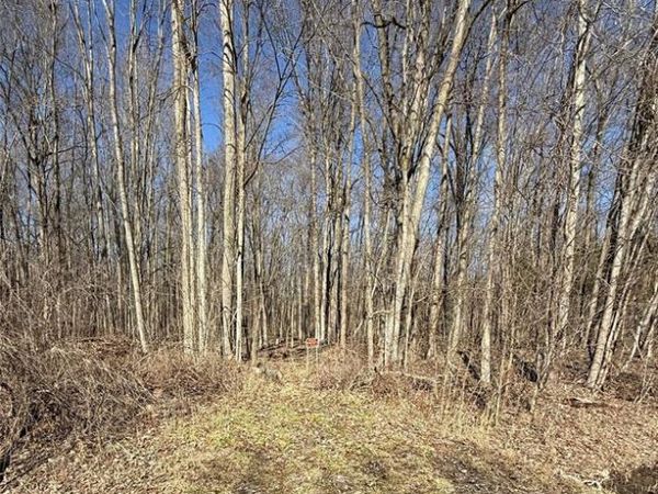 Lindsey Road, China Twp, MI 48054