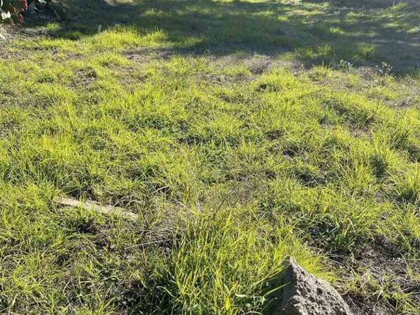 7755 7755 Earl, El Cerrito, CA 94530