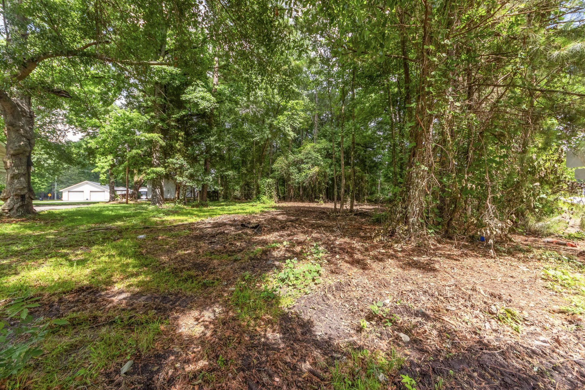 810 Orangeburg Road Photo 5