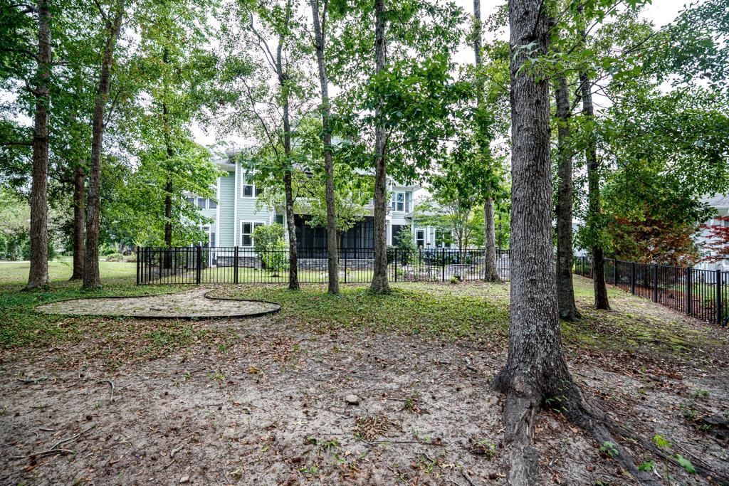 4561 Gray Heron Dr. Photo 59