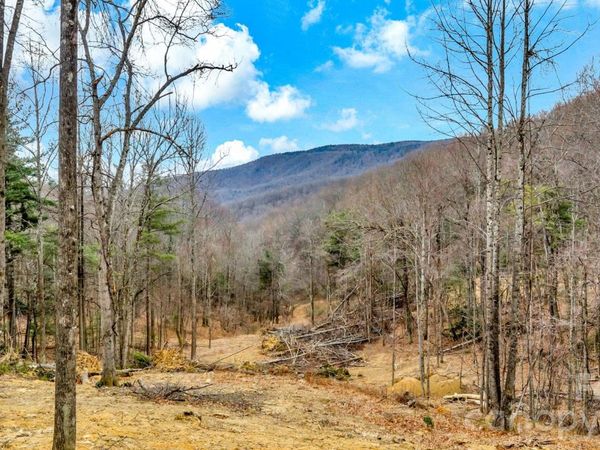 TBD Phillips Gap Road , Purlear, NC 28665