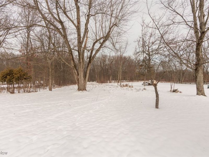 14430 Drake Road, Strongsville, OH 44136 Photo 37