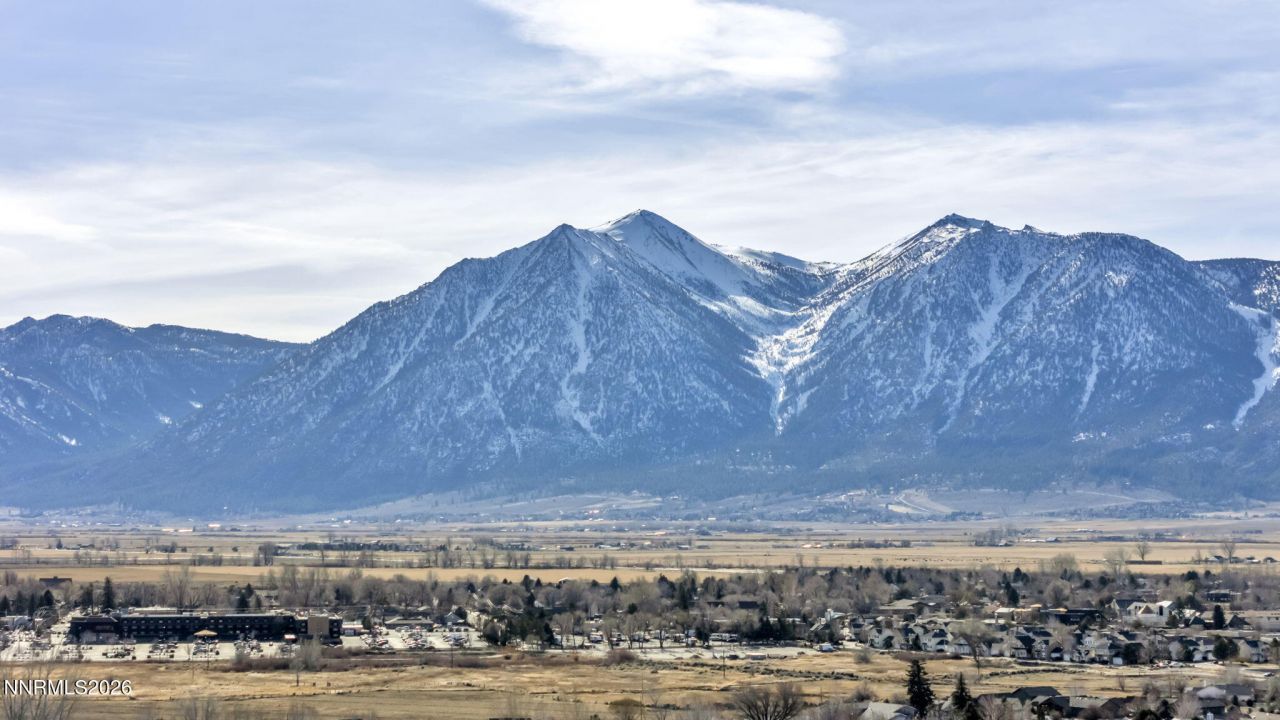 1768 Blue Spruce Court, Minden, NV 89423 Photo