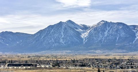 1768 Blue Spruce Court, Minden, NV 89423 Photo