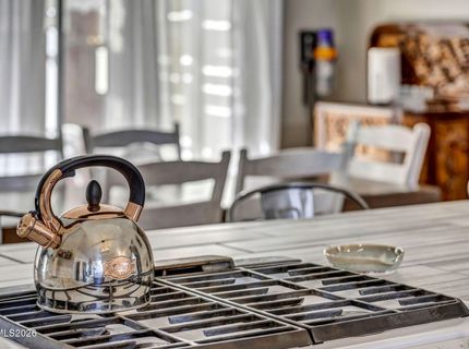 1768 Blue Spruce Court, Minden, NV 89423 Photo