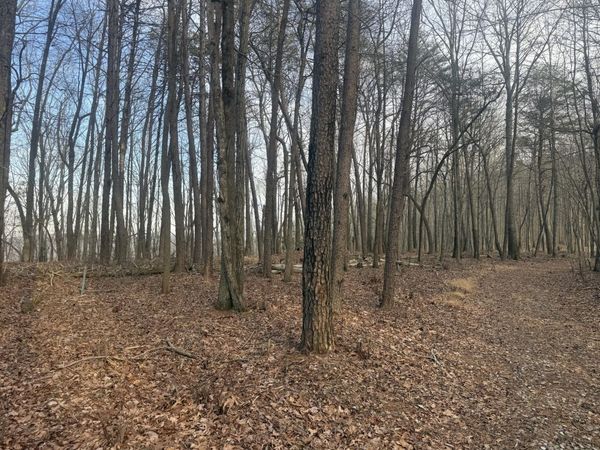 0 Shivas Crest, Rising Fawn, GA 30738