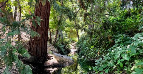 2018 Whistler Way, Somerset, CA 95684 Photo