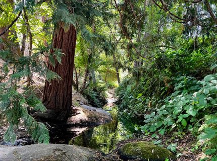 2018 Whistler Way, Somerset, CA 95684 Photo