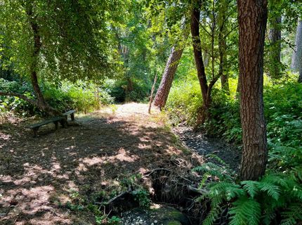 2018 Whistler Way, Somerset, CA 95684 Photo