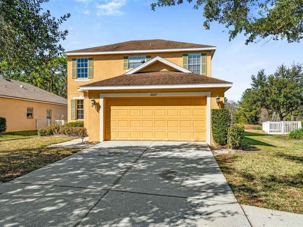 20117 BAY CEDAR AVENUE, TAMPA, FL 33647