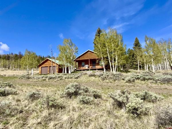 1019 Uncompahgre Drive, Powderhorn, CO 81243