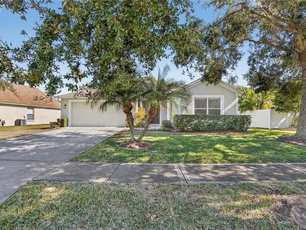 1150 BIG CREEK DRIVE, WESLEY CHAPEL, FL 33544