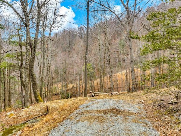 TBD Phillips Gap Road, Purlear, NC 28665