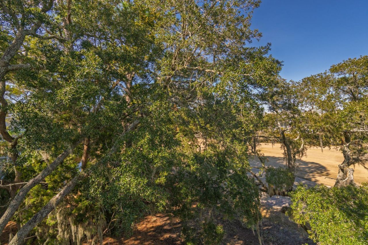 251 Driftwood Lane Photo 16