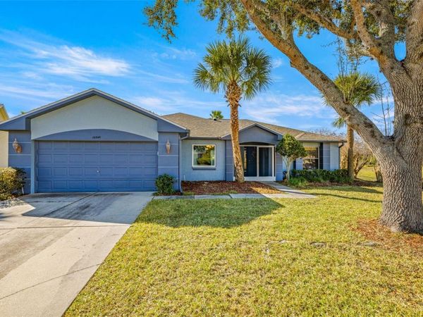 10545 COLLAR DRIVE, SAN ANTONIO, FL 33576