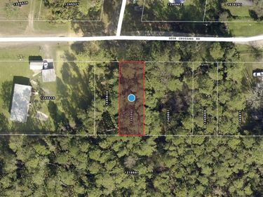 TBD DEER CROSSING ROAD, ALTOONA, FL 32702