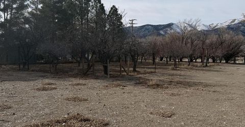 1199 Manley Lane, Round Mountain, NV 89045 Photo