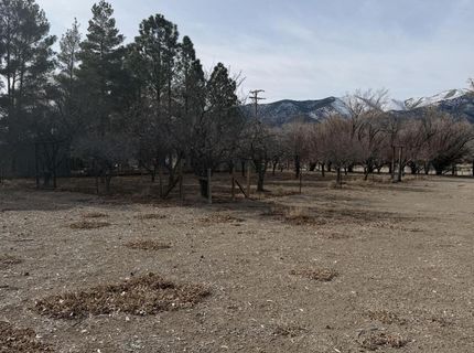 1199 Manley Lane, Round Mountain, NV 89045 Photo