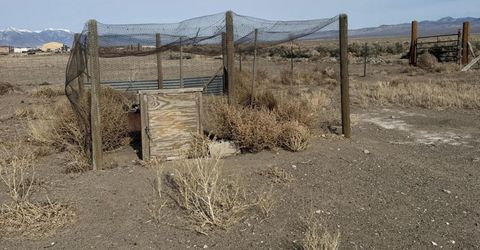 1199 Manley Lane, Round Mountain, NV 89045 Photo