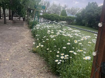 1199 Manley Lane, Round Mountain, NV 89045 Photo