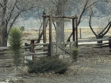 1199 Manley Lane, Round Mountain, NV 89045 Photo