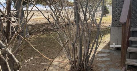 1199 Manley Lane, Round Mountain, NV 89045 Photo