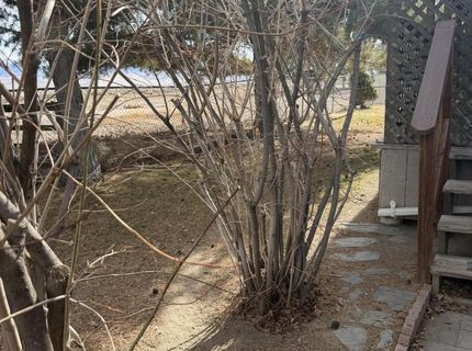 1199 Manley Lane, Round Mountain, NV 89045 Photo