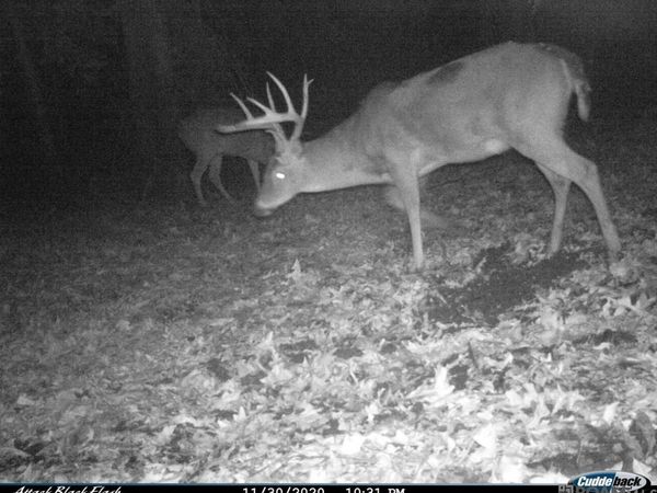 27 Cat Island Rd, St Francisville, LA 70775