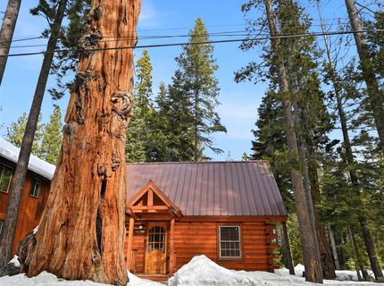 274 Oak Street, Tahoma, CA 96142 Photo