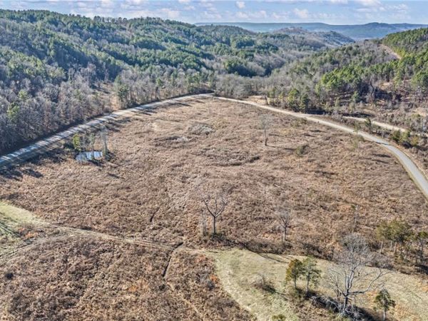 Tract 2 Booger Hollow Road , Dover, AR 72837