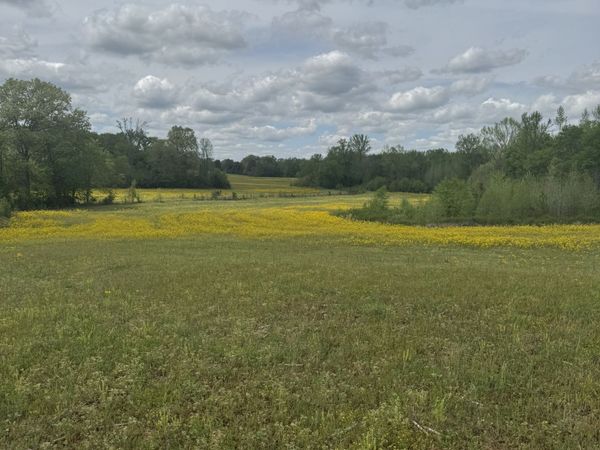 0 Taylor Cemetery Rd , Buena Vista, TN 38318