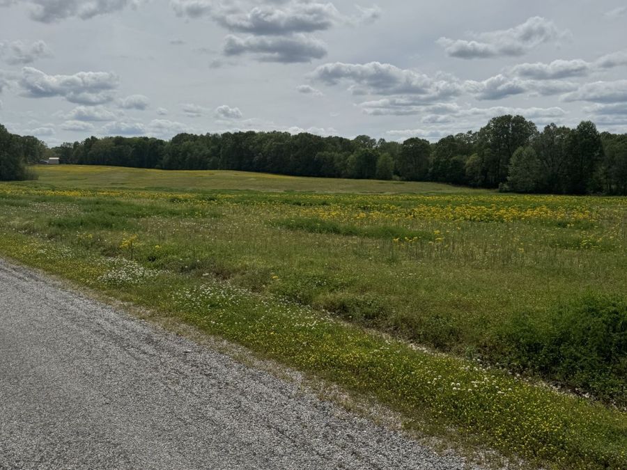 Property Image 18