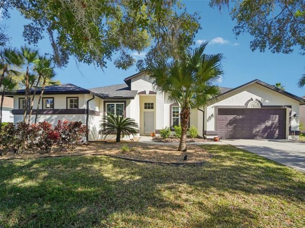 4909 WILLOW RIDGE TERRACE, VALRICO, FL 33596