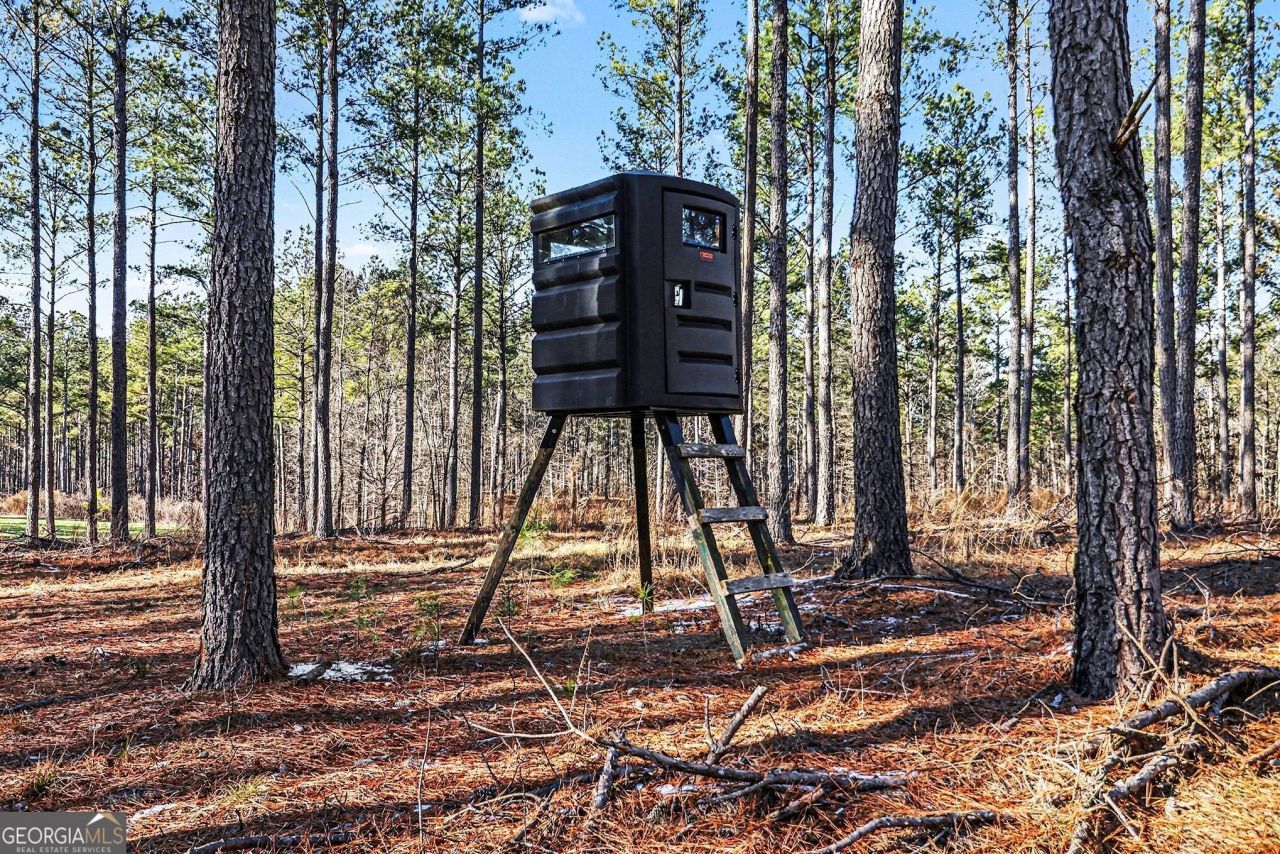 2285 Cherokee Road, Comer, GA 30629 Main Photo