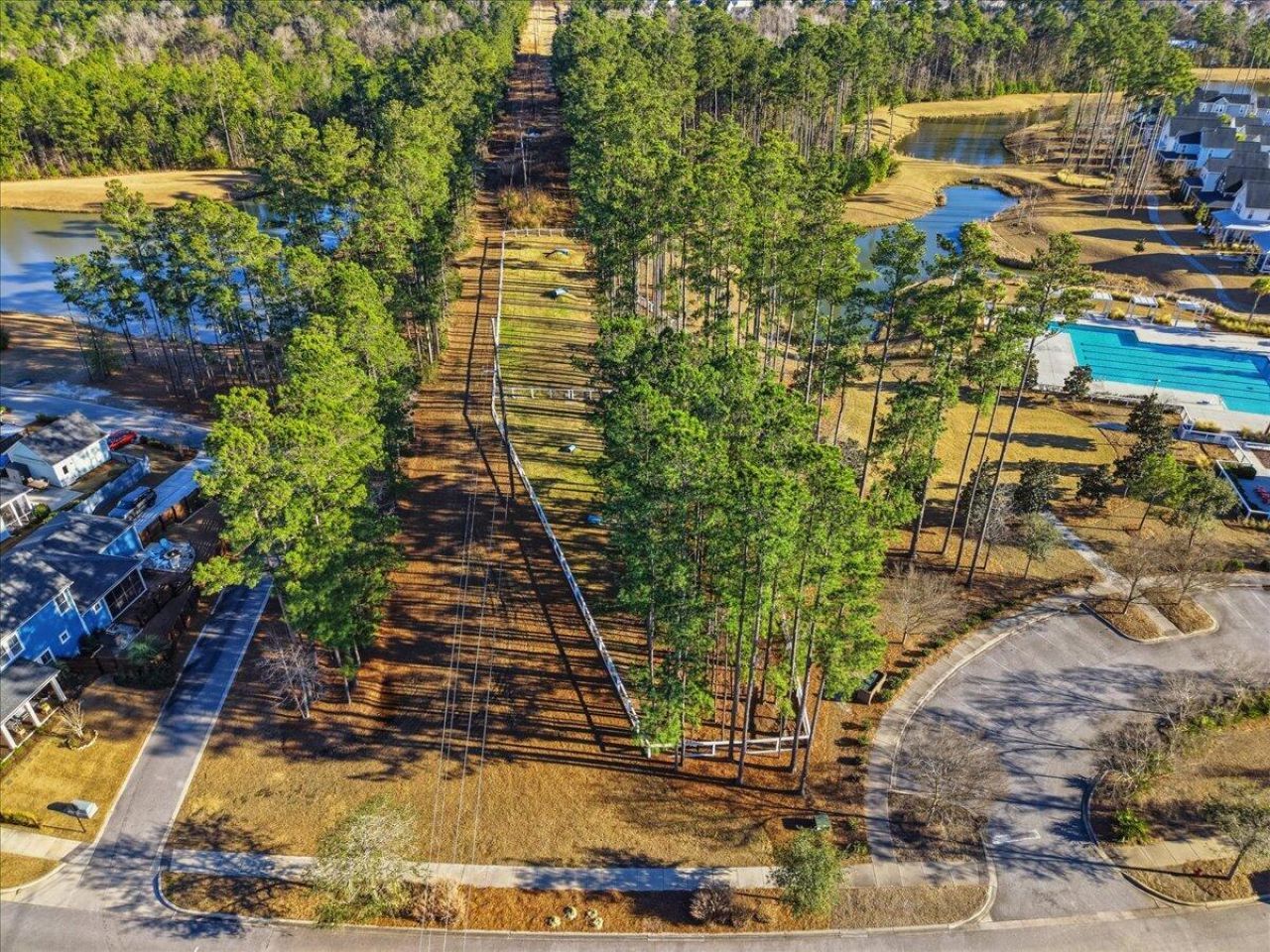 510 Foxtail Park Street Photo 47