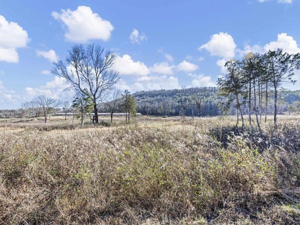Tract 3 Booger Hollow Road, Dover, AR 72837