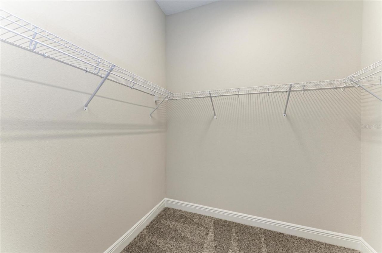 2058 Arching Branch Drive, Zephyrhills, FL 33541 Photo