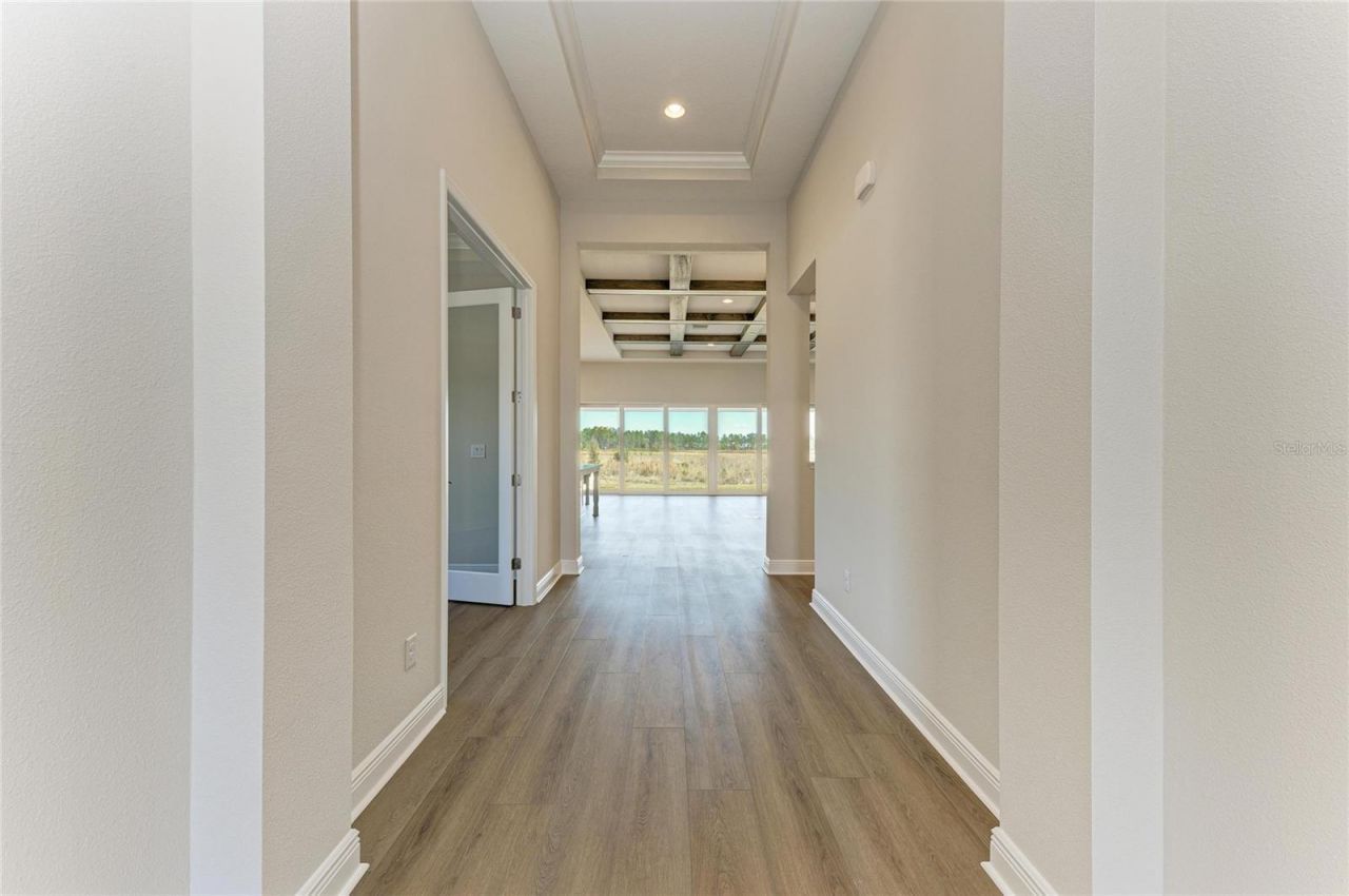 2058 Arching Branch Drive, Zephyrhills, FL 33541 Photo