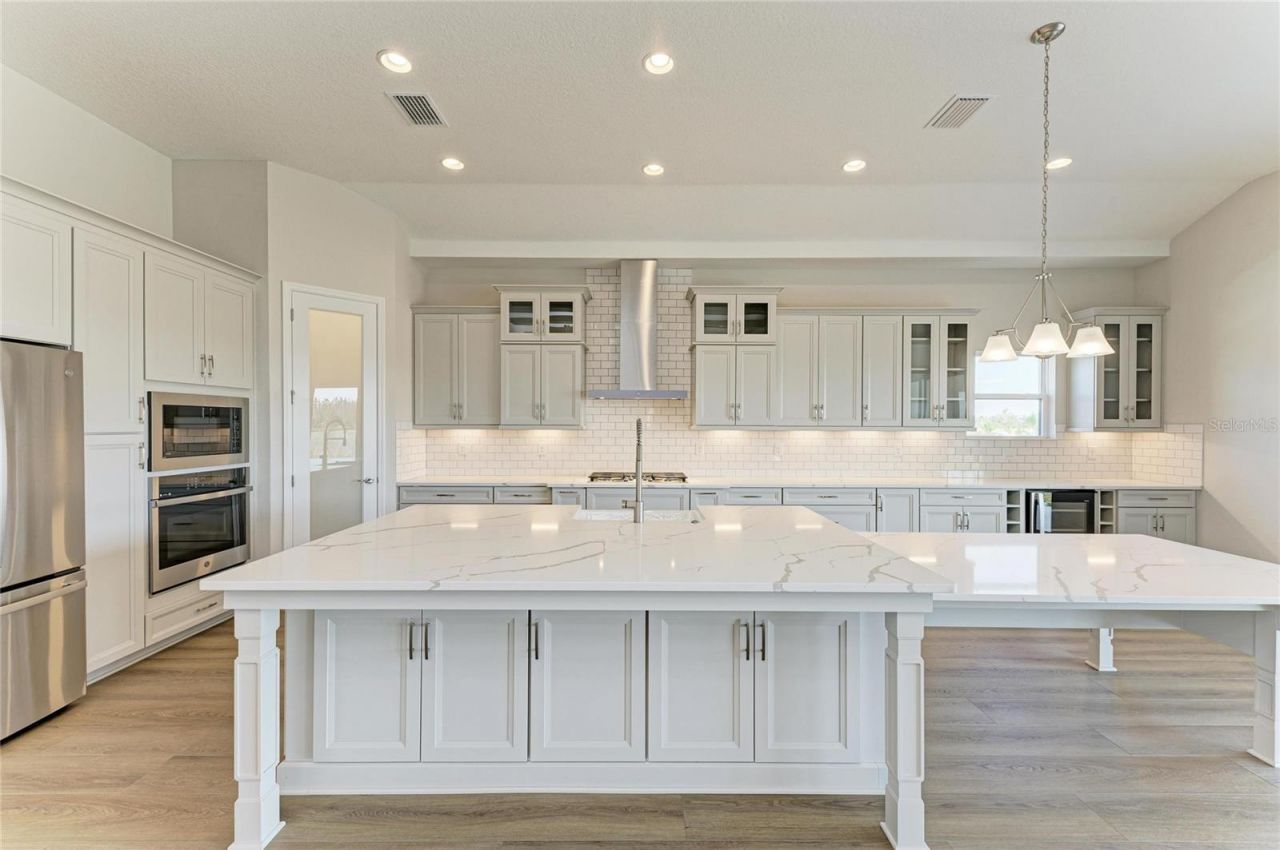 2058 Arching Branch Drive, Zephyrhills, FL 33541 Photo