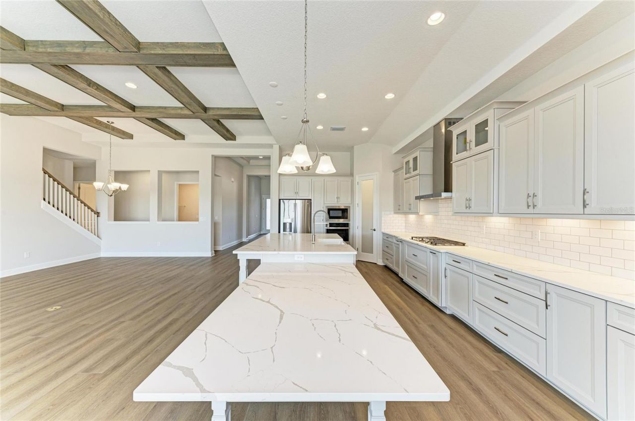 2058 Arching Branch Drive, Zephyrhills, FL 33541 Photo