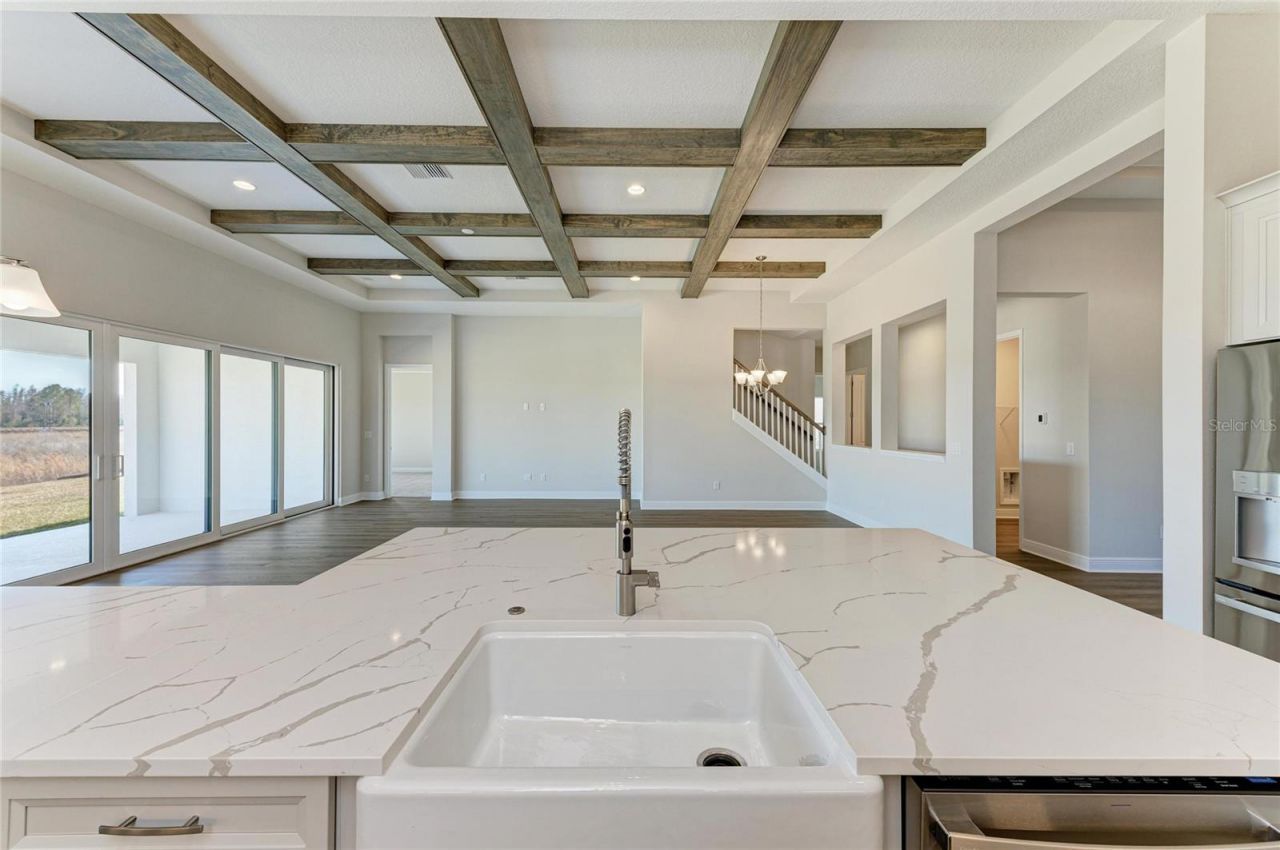 2058 Arching Branch Drive, Zephyrhills, FL 33541 Photo