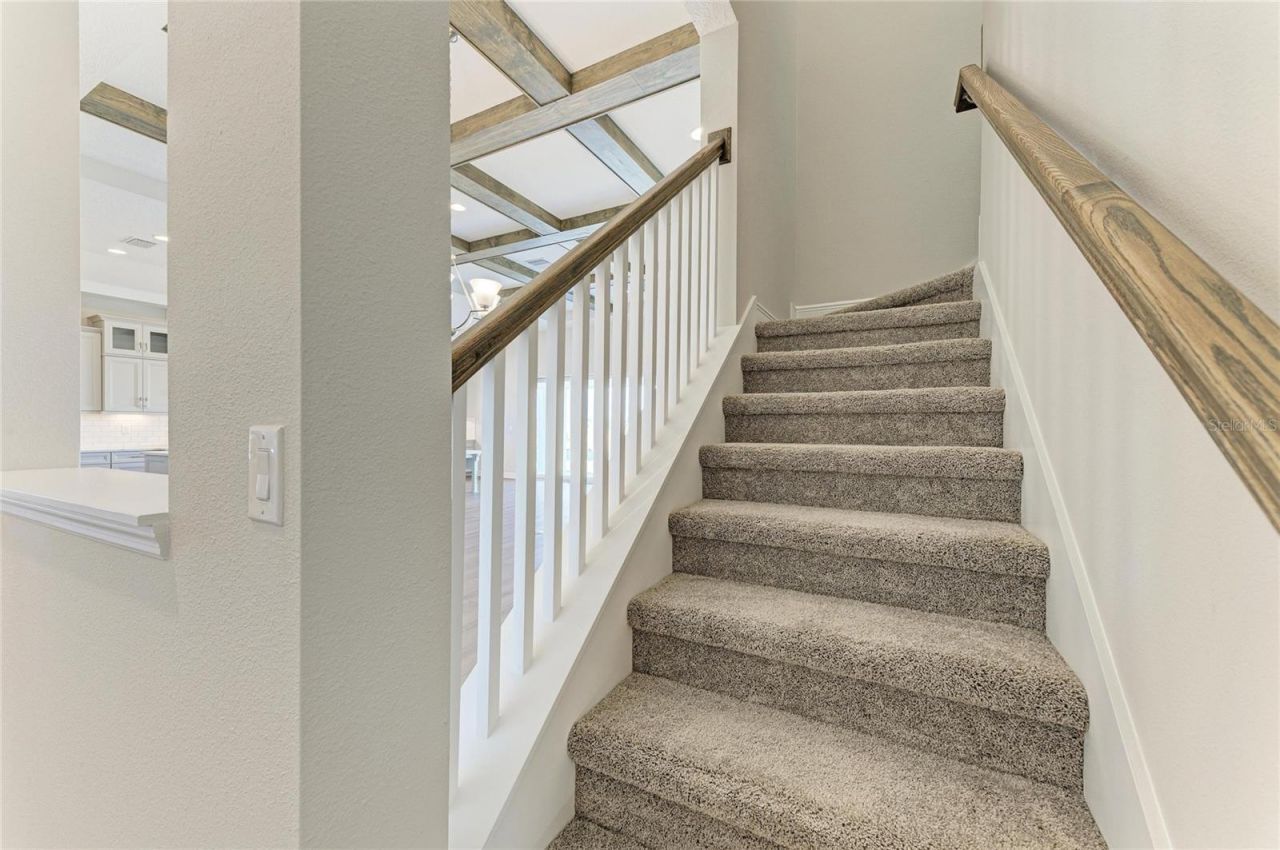 2058 Arching Branch Drive, Zephyrhills, FL 33541 Photo