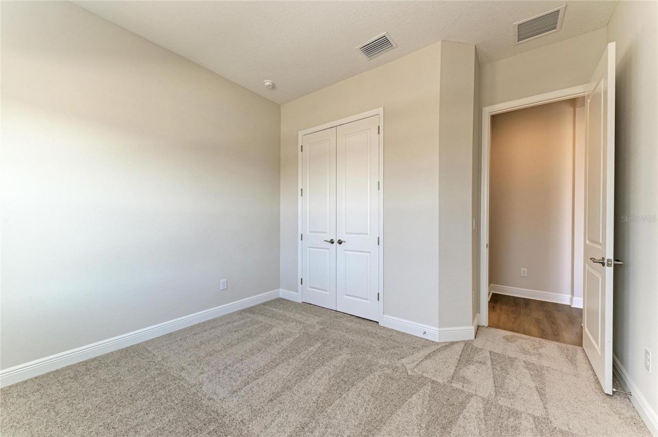 2058 Arching Branch Drive, Zephyrhills, FL 33541 Photo