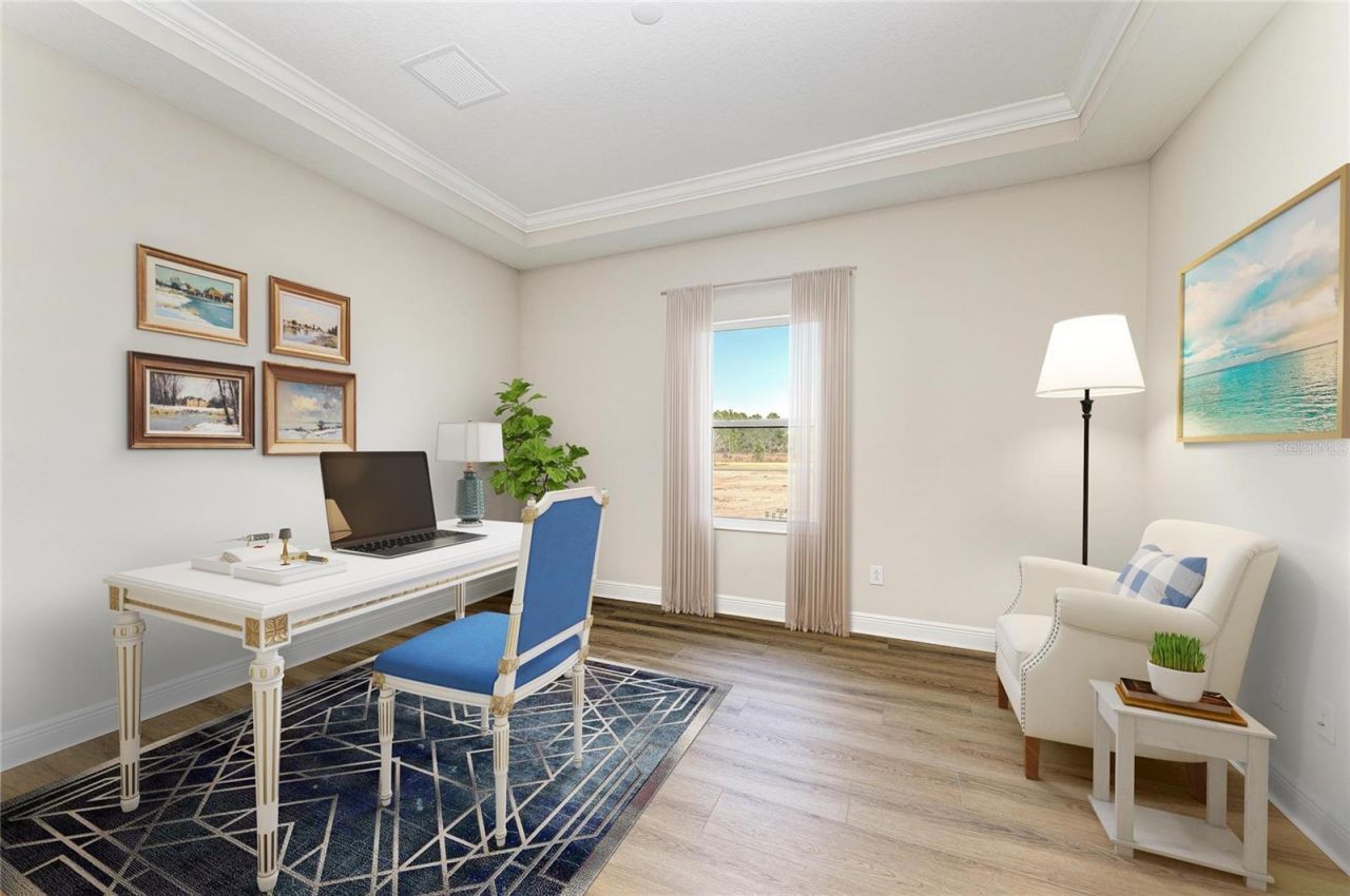 2058 Arching Branch Drive, Zephyrhills, FL 33541 Photo