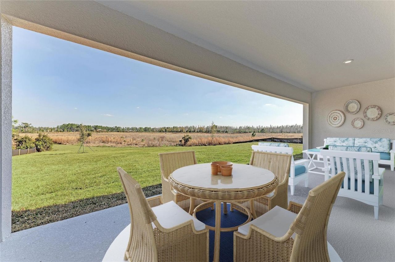 2058 Arching Branch Drive, Zephyrhills, FL 33541 Photo