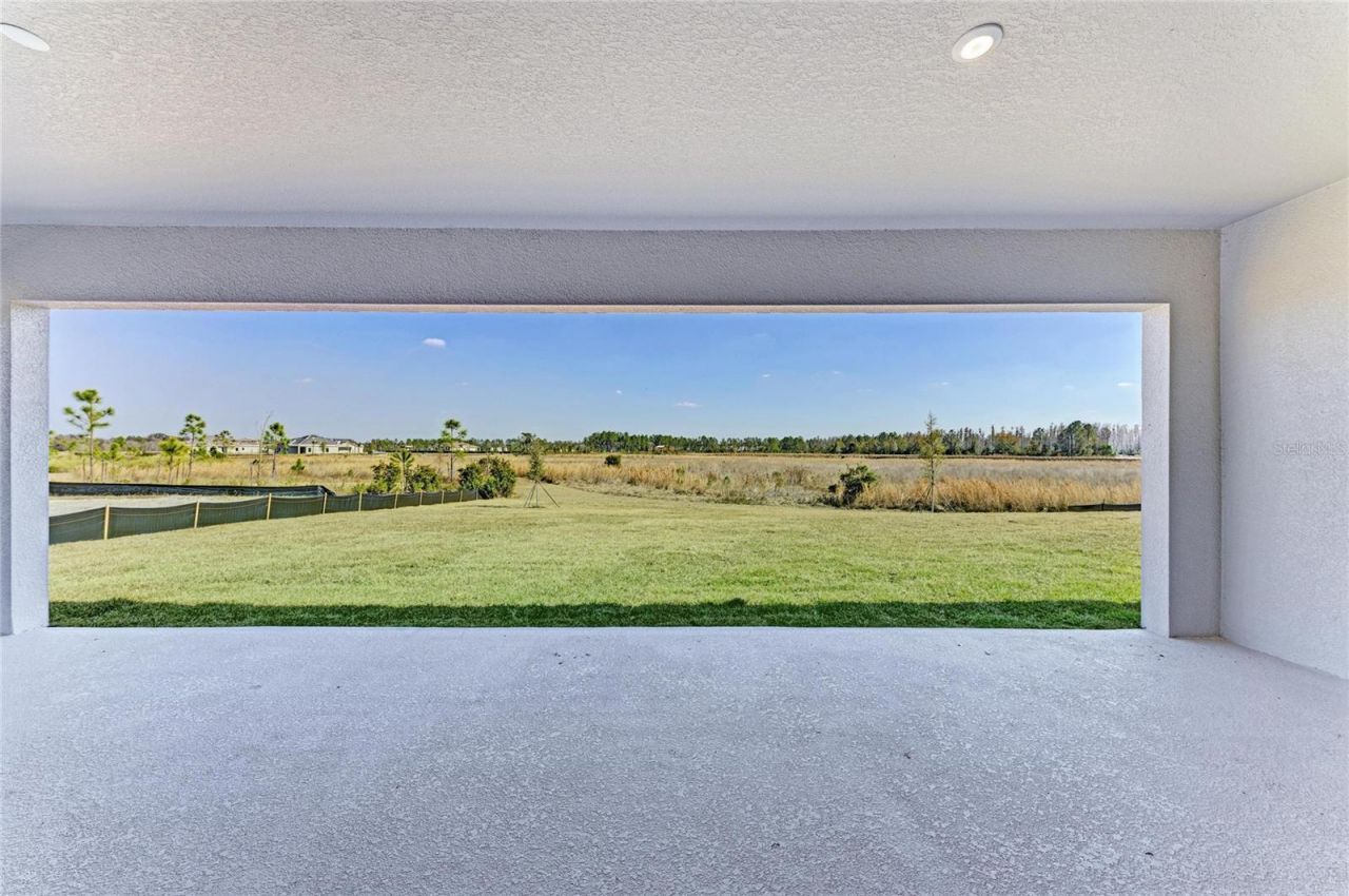 2058 Arching Branch Drive, Zephyrhills, FL 33541 Photo