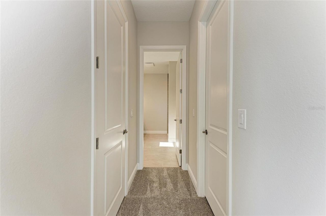 2058 Arching Branch Drive, Zephyrhills, FL 33541 Photo