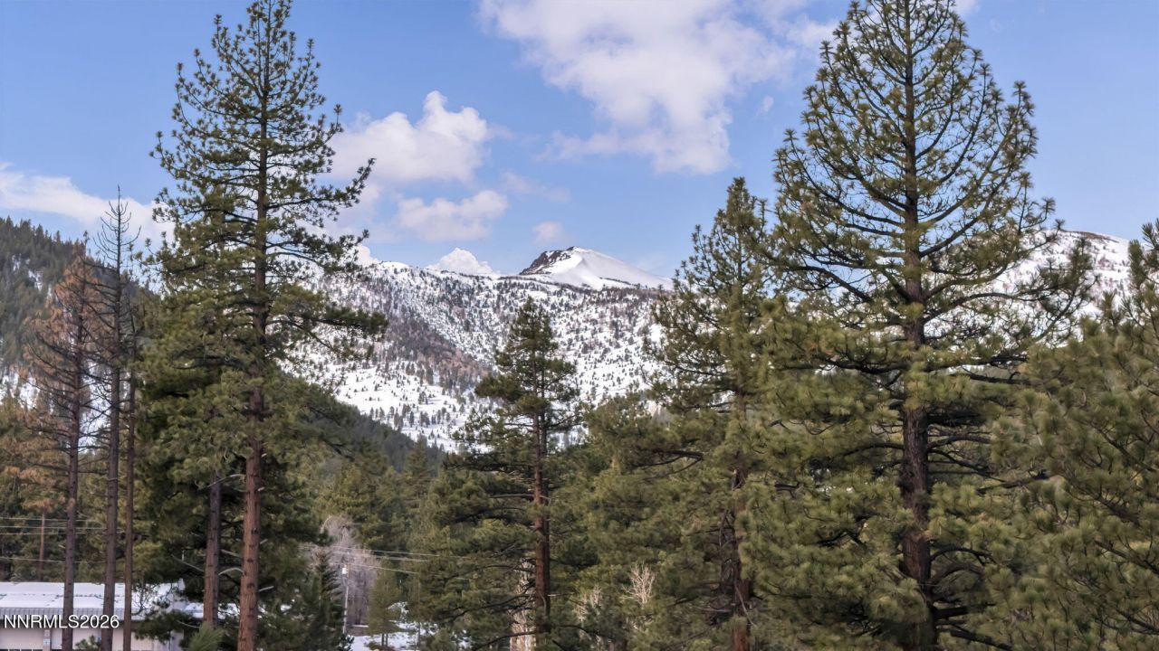 1205 Douglas Fir Drive, Reno, NV 89511 Photo