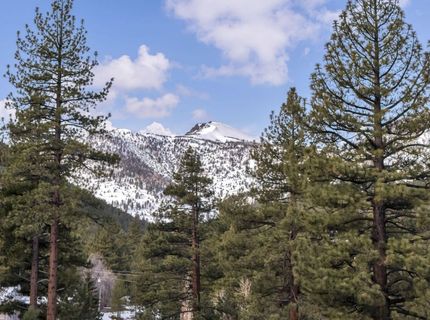 1205 Douglas Fir Drive, Reno, NV 89511 Photo