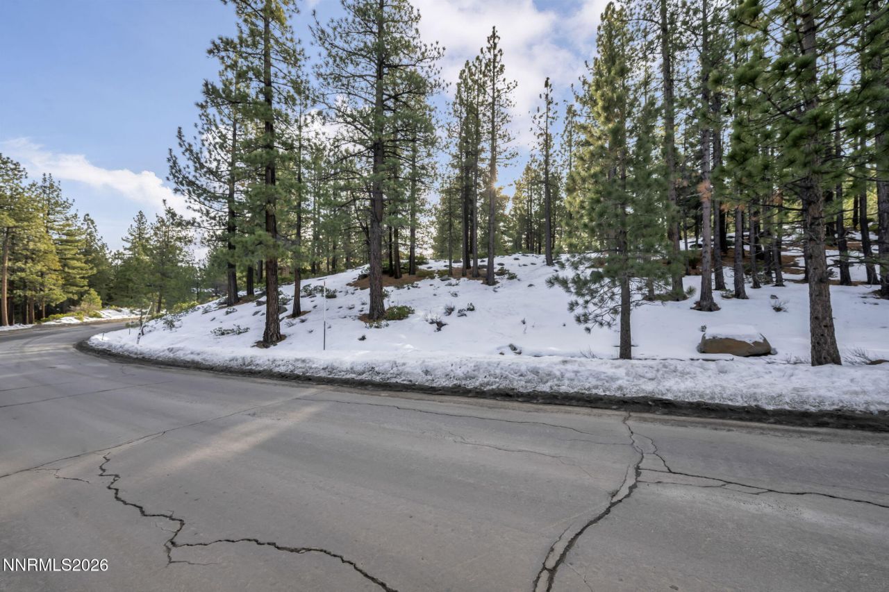 1205 Douglas Fir Drive, Reno, NV 89511 Photo